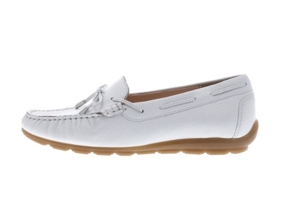 Ara 119,90€