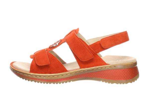 Ara 89,95€