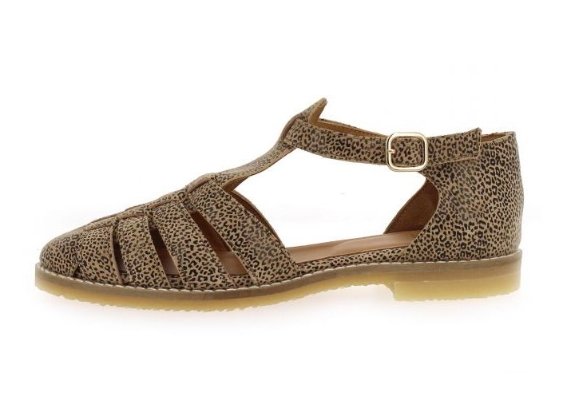 Aliwell 139€