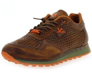 Cetti 135€