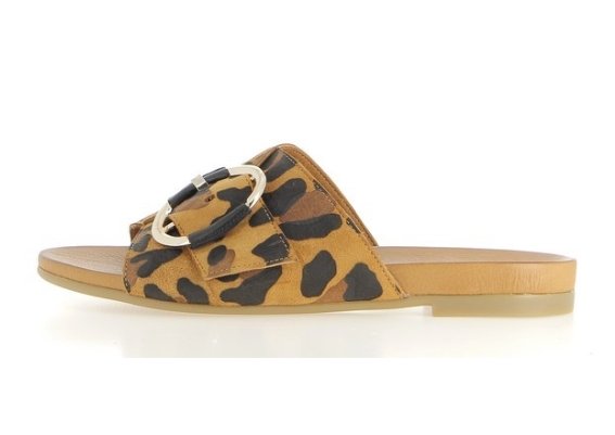 Coco@abricot 89€