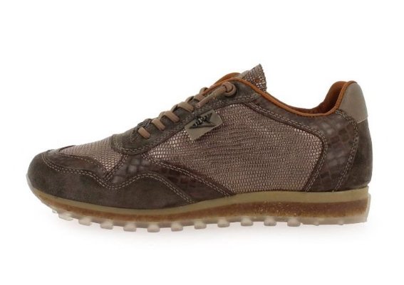 Cetti 129,90€