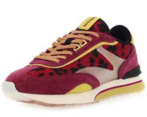 Hoff 129€