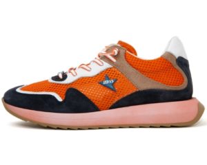 Cetti 139€