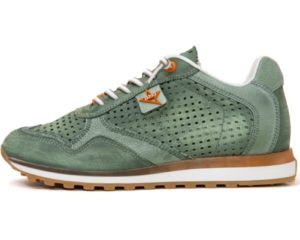 Cetti 135€