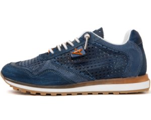 Cetti 135€