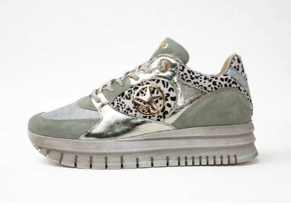 Cetti 155€